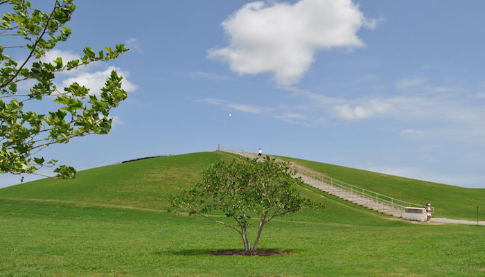 SE PUEDE ¿Cómo le hicieron?: Park Mount Trashmore