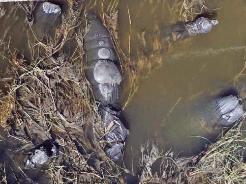 Suman 19 cuerpos los encontrados en Ixtlahuacán