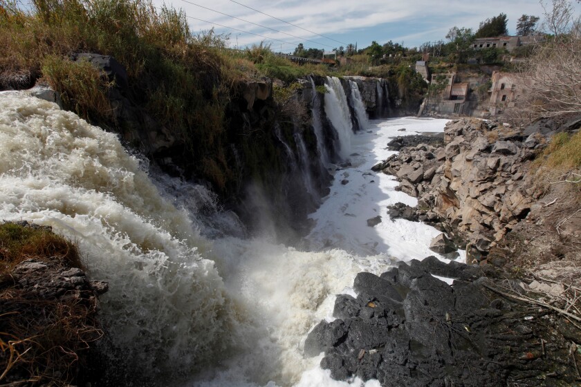 "Sus procesos de depuración natural son muy difíciles"