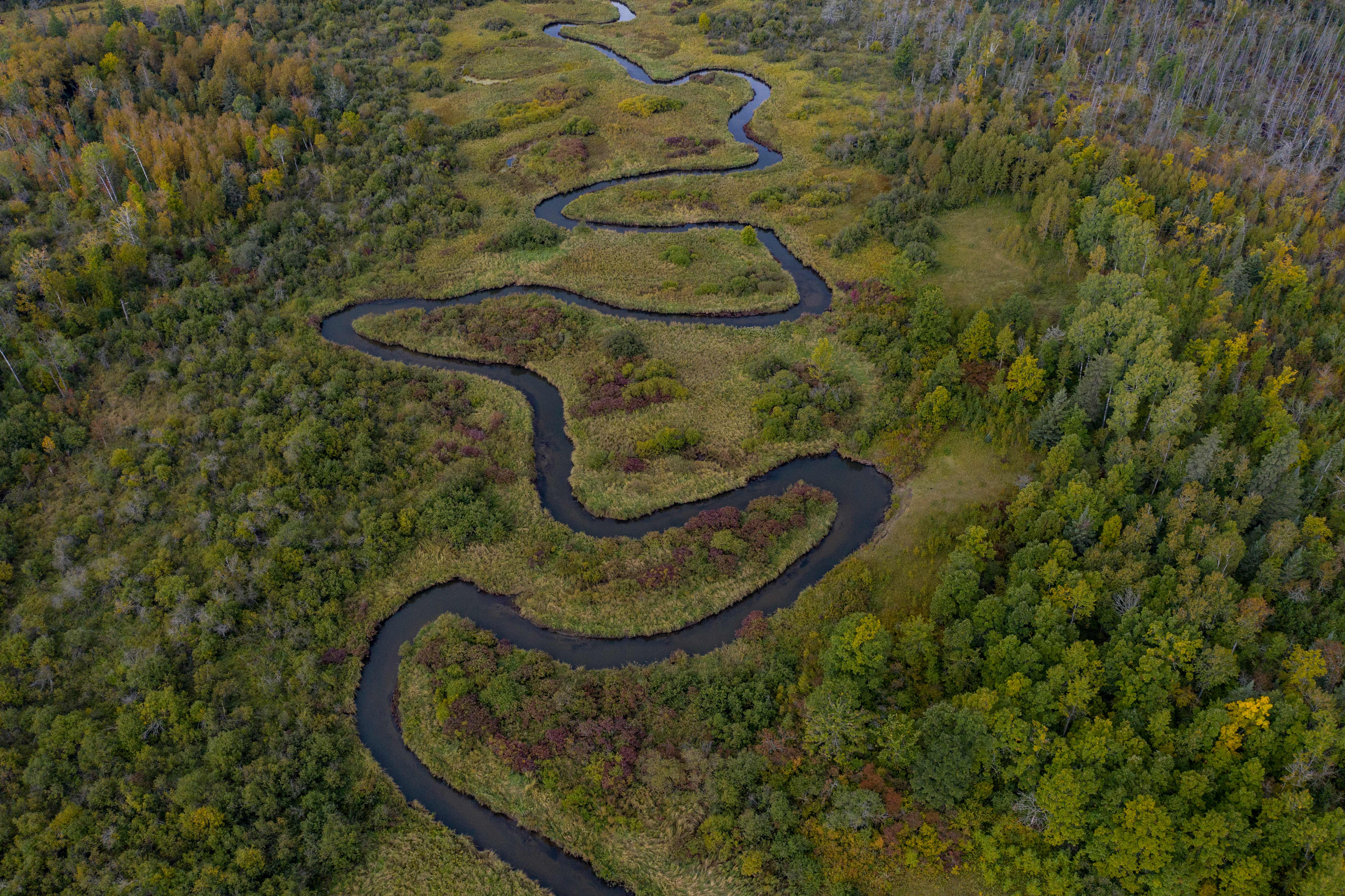 The Nature Conservancy: Revitalización de ríos: seis historias de esperanza