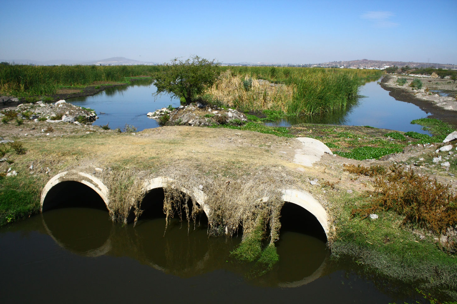 Urge Aristóteles resolver contaminación