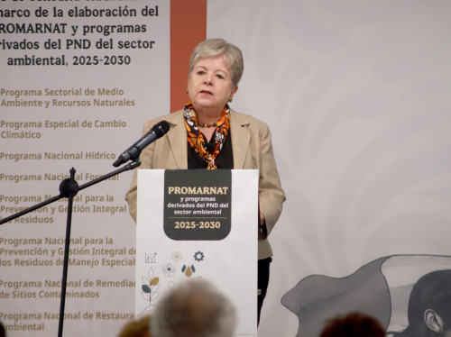 Cuenca El Ahogado uno de  los "Infiernos Ambientales".- Alicia Bárcena