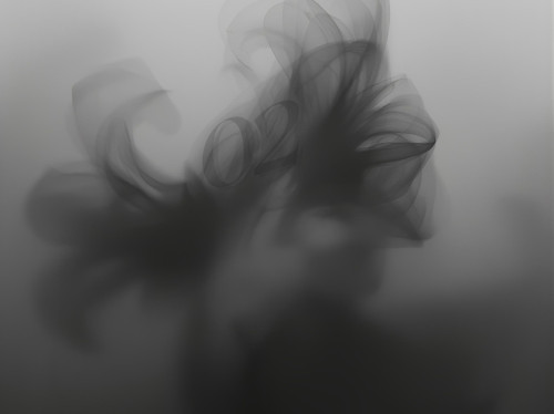 Vivir en la incertidumbre