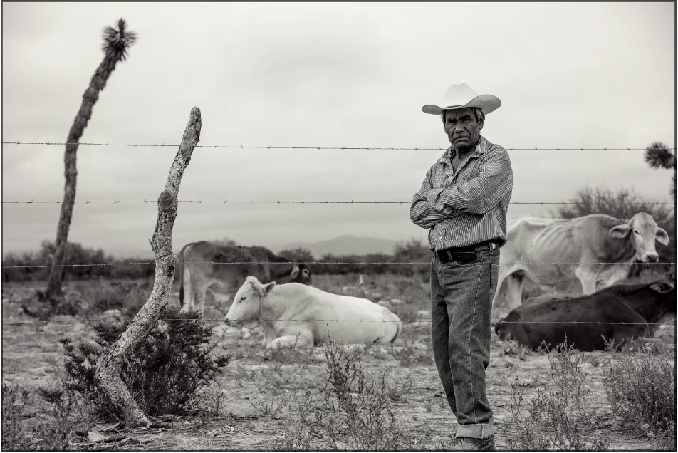 Cuentos del Pueblo: ¡Y pues acabamos con las vacas!