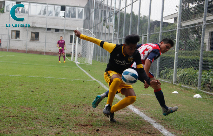 Cae Gorilas en su debut