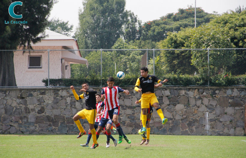 Cae Gorilas en su debut