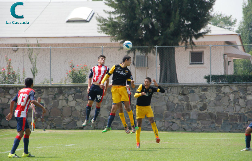 Cae Gorilas en su debut