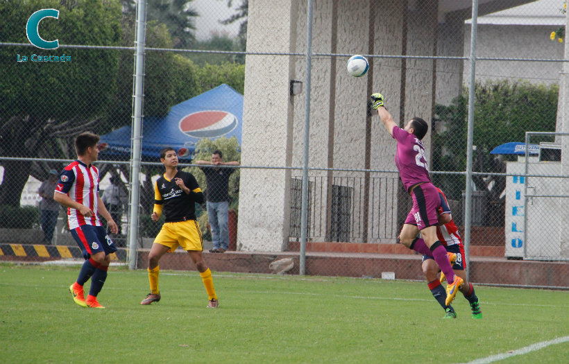 Cae Gorilas en su debut