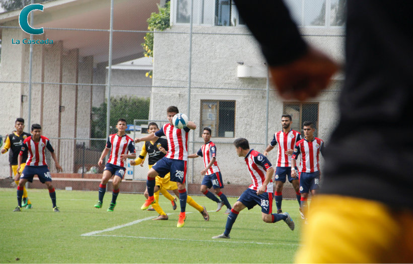 Cae Gorilas en su debut