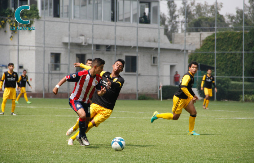 Cae Gorilas en su debut