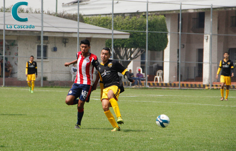 Cae Gorilas en su debut