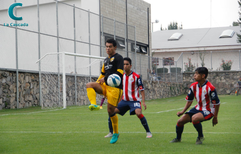 Cae Gorilas en su debut