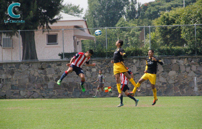 Cae Gorilas en su debut