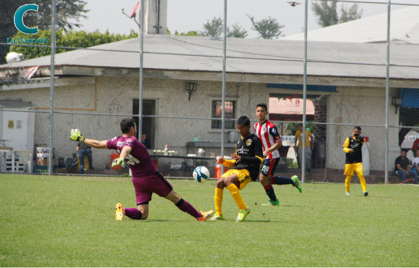 Cae Gorilas en su debut