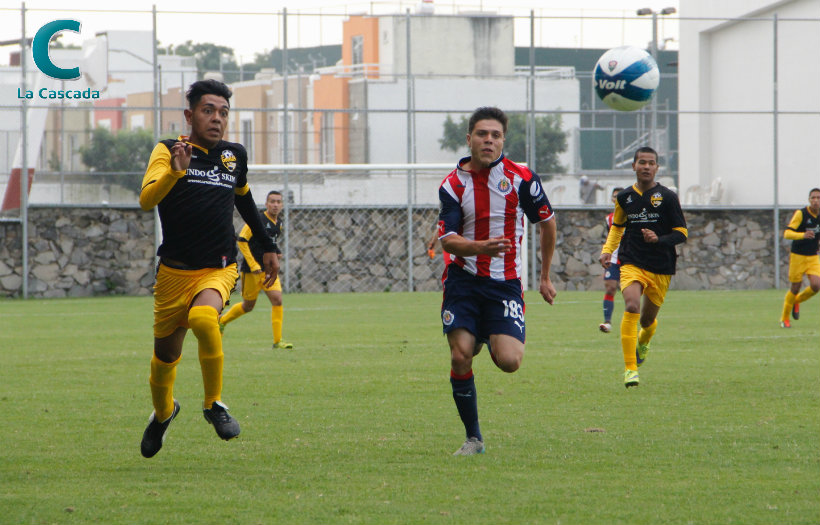 Cae Gorilas en su debut