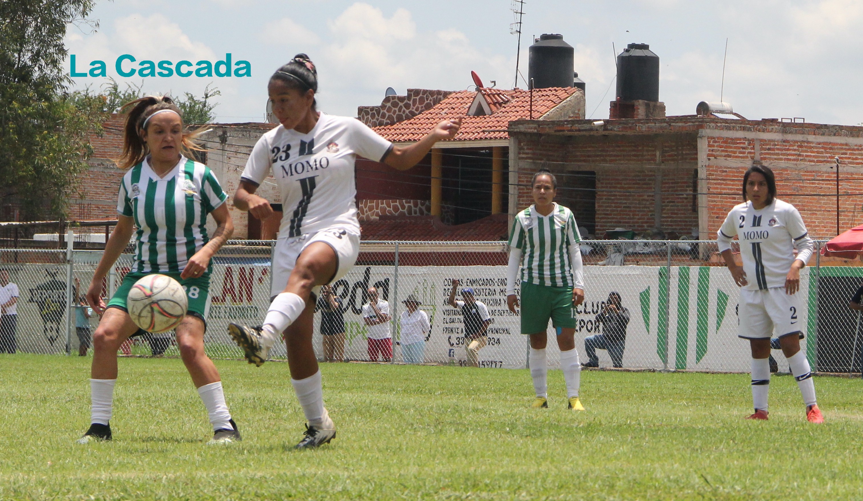 ¡Ellas sí pudieron!