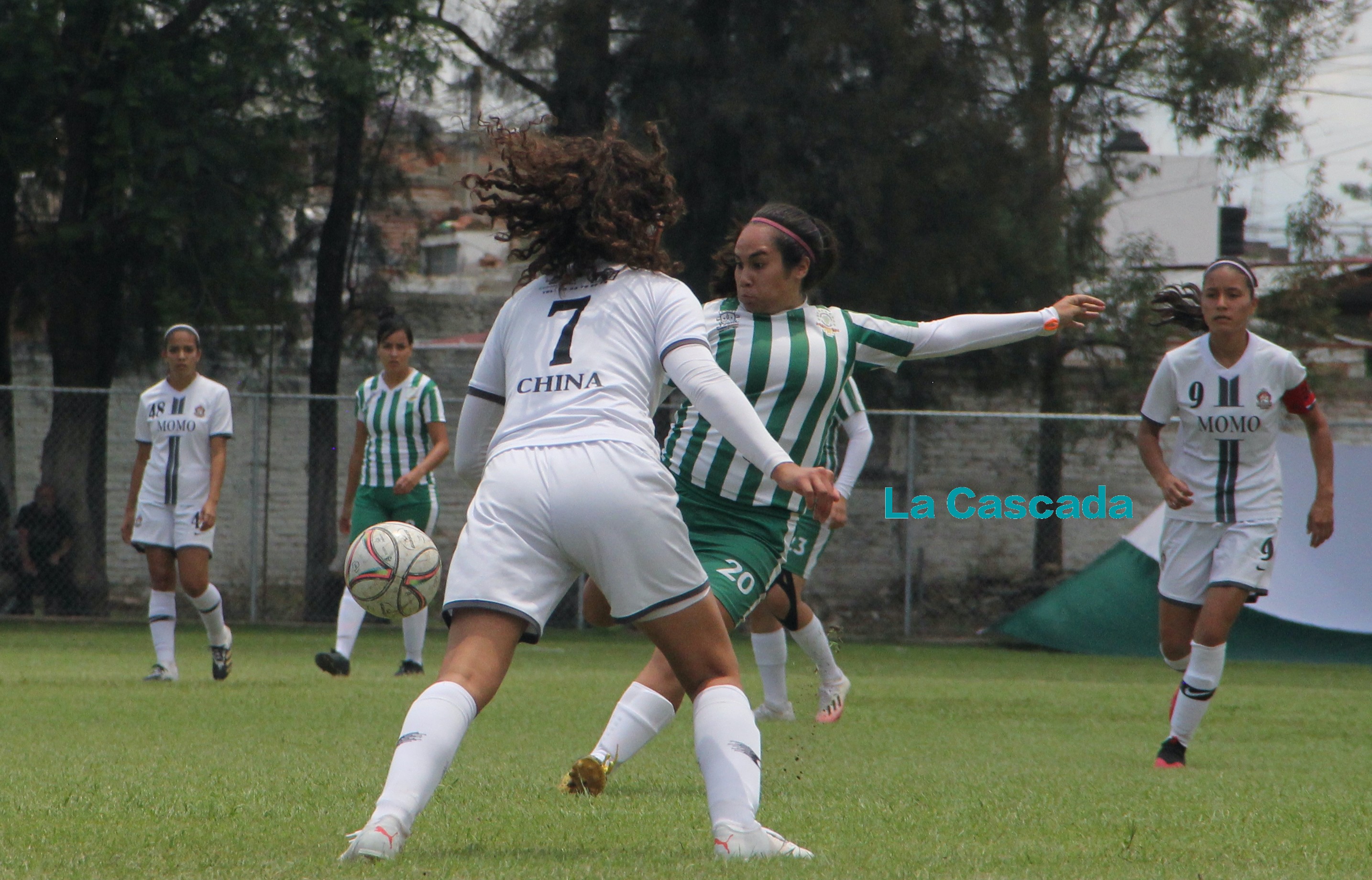 Ellas sí pudieron