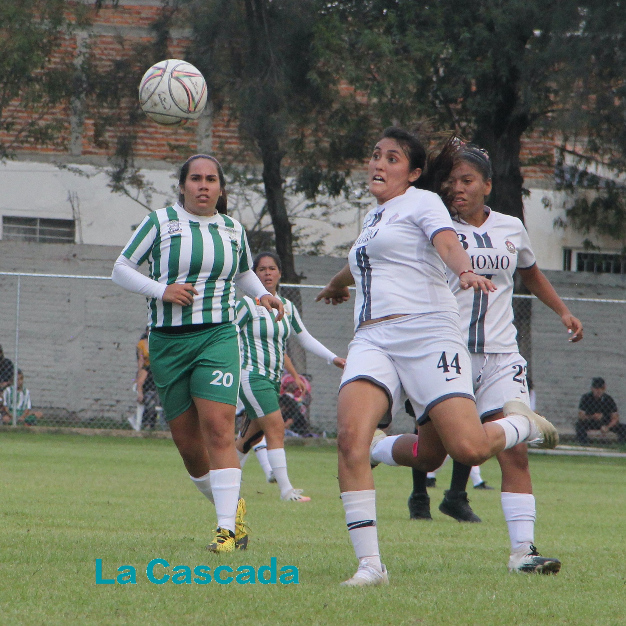 Ellas sí pudieron