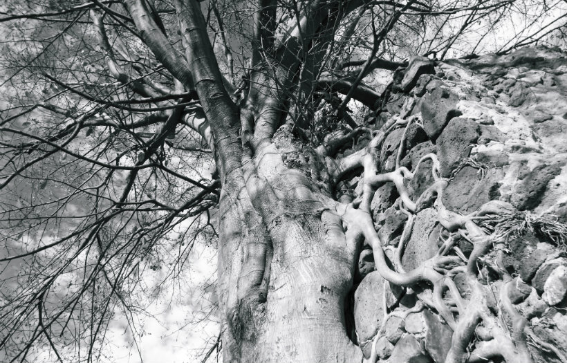 Exposición fotografía Prepa El Salto