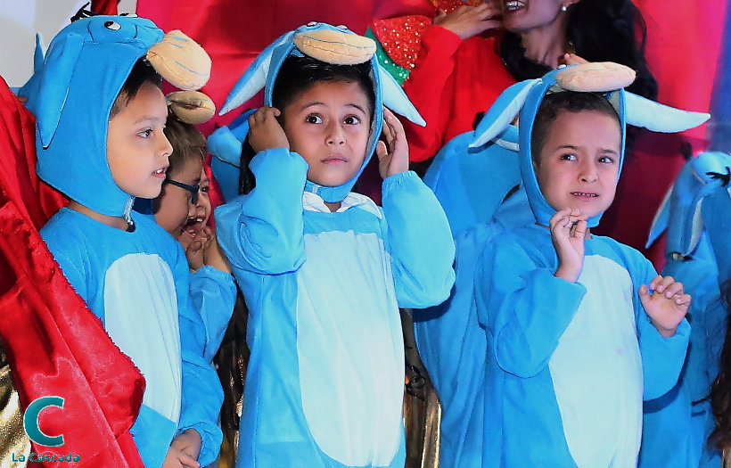 Festival Navideño Colegio Bruselas 2016