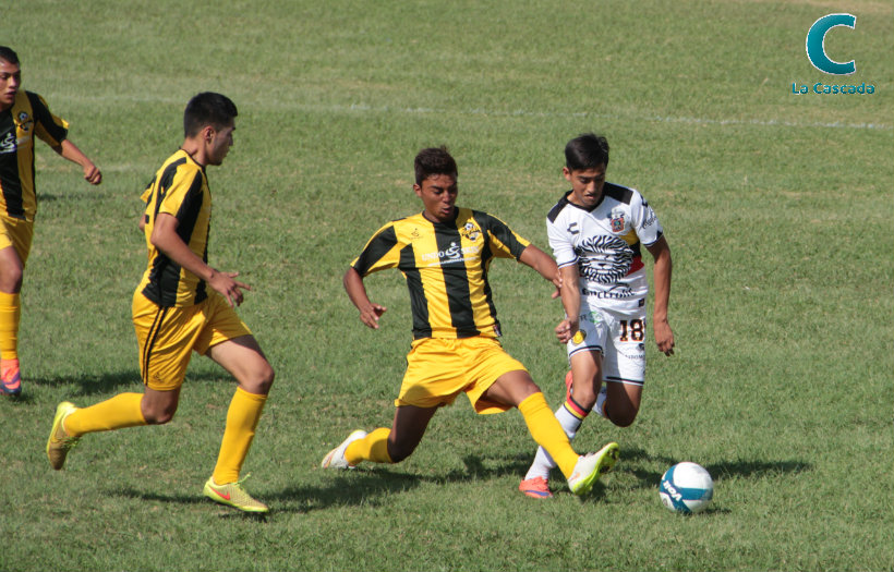 Gorilas 0-1 Leones Negros