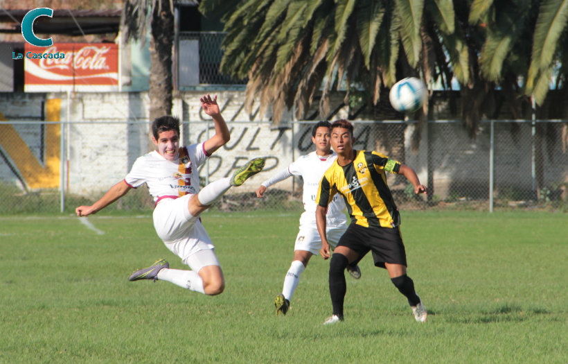 ¿Qué les pasó, Gorilas? 