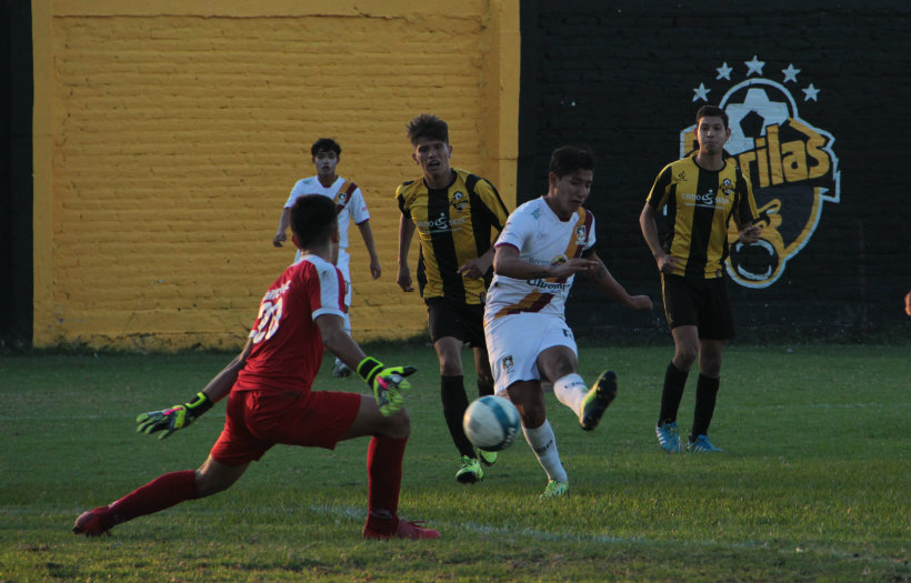 ¿Qué les pasó, Gorilas? 