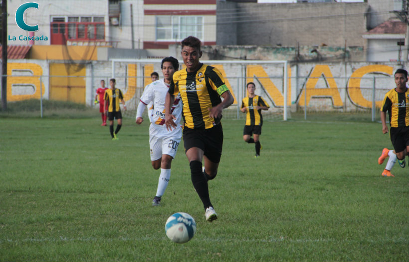 ¿Qué les pasó, Gorilas? 