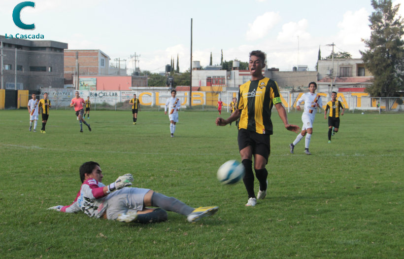 ¿Qué les pasó, Gorilas? 