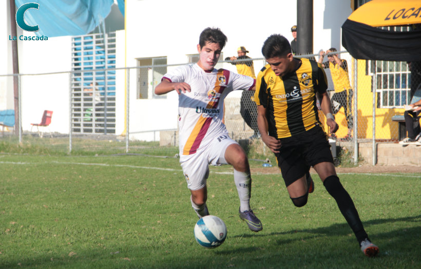 ¿Qué les pasó, Gorilas? 