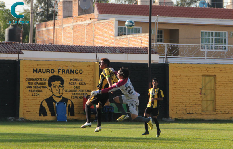 ¿Qué les pasó, Gorilas? 