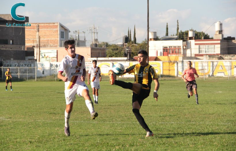 ¿Qué les pasó, Gorilas? 