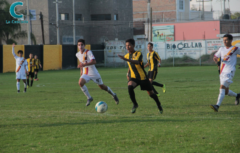 ¿Qué les pasó, Gorilas? 