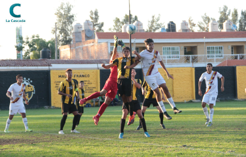 ¿Qué les pasó, Gorilas? 
