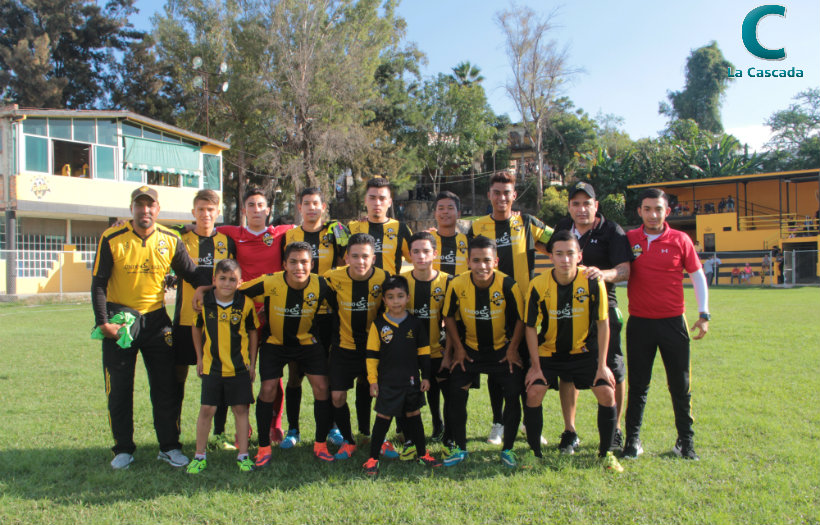 ¿Qué les pasó, Gorilas? 